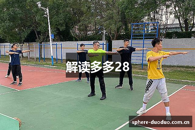解读多多28